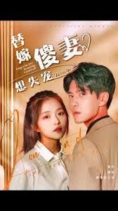 替嫁傻妻想失宠 第21-40集